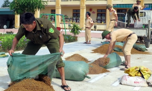 Phát động quyên góp ủng hộ đồng bào miền Trung